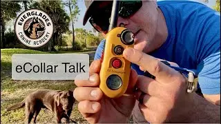 Is eCollar Training Good? | Discussion and Demo | Dog Training | Naples FL