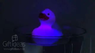 Light Up Bath Duck - Disco Duck