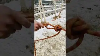 Best technique to tide the rope#adventure #rope #climbing
