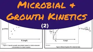 Microbial Growth & Kinetics(2)| Explained| Bioprocess & Biochemical Engineering