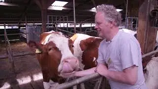 Persingen: het kleinste dorp van Nederland
