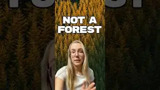 Most forests that we know aren&rsquo;t actually forests #shorts