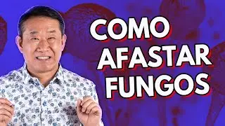 FUNGO NEGRO: COMO SE PROTEGER | Peter Liu