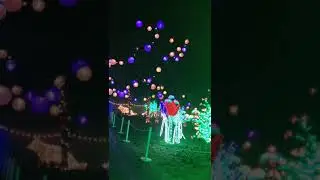 Aurora winter festival in Vancouver 2019