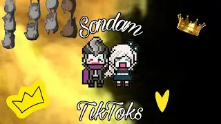 🖤💛Sondam tiktoks to watch while you become the ruler of the world💛🖤