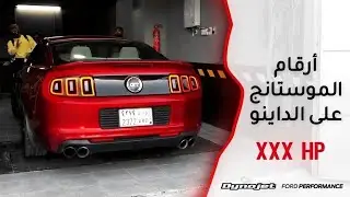 برمجة الموستنج على الداينو 🔥🔥 || ارقام حلوه 👍🏼😋 Master966 ماستر٩٦٦ فهد غازي