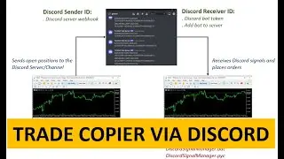 TRADE COPIER VIA DISCORD