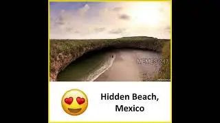 Funny Memes That Will Make You Laugh (#586)| Relatable Memes | Funny Picture Memes😃 #shorts