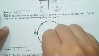 VẬT LÍ 12 -BÀI TẬP CẤU TRÚC MỚI - TỪ TRƯỜNG VÀ ĐƯỜNG SỨC TỪ