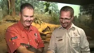 Breeding plan aims to save snakes