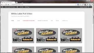 White Label PLR Videos - What Is A White Label PLR Video