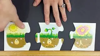 Story Structure: Beginning, Middle and End