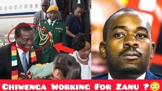 How Nelson Chamisa Is Working For Zanu PF 😳