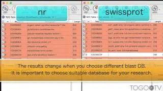 Functional Annotation of Sequences using Blast2GO