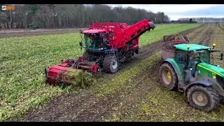 Agrifac Light Traxx Lifting Sugar Beet At Thoresby Farm #farmingvideo