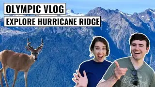 THIS is How to EXPERIENCE Hurricane Ridge Area of OLYMPIC NATIONAL PARK