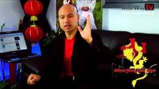 The master Wong show  28 - What other MA best compliment your style in wing chun