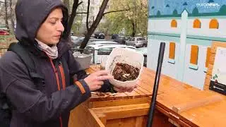 Compostul, aurul grădinarului. 10 stații de compostare comunitară s-au deschis &icirc;n București