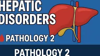 Pathology 2🩸| Pancreaticobiliary Disorders | Liver Disorders | Hepatitis, Cirrhosis | MBBS | NCLEX--