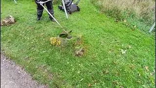 Listen to that power 4 stroke #samthegardenman #4stroke #strimmer #digitalcreator #dance #garden 