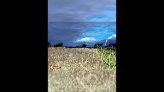 Werfling - Upper Bavaria - Digital Painting Timelapse in Adobe Fresco - Art tutorial landscape art