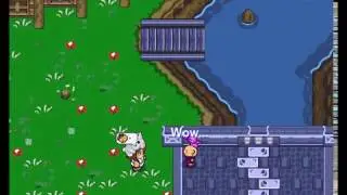 Types of Babies on Graal ^~^
