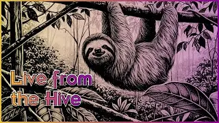 Live from the Hive - La Lechuza || Hand of Glory || Three-toed Sloth