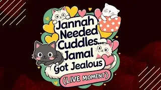 Jannah Needed Cuddles&hellip; Jamal Got Jealous 😹💛 (LIVE Moment) 