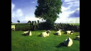 The Top 10 Songs of The KLF