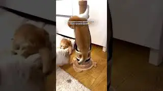🥳 Артикул:  