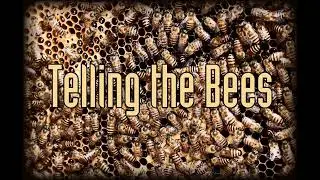 Telling the Bees Review - Delta Green (Shotgun Scenario)