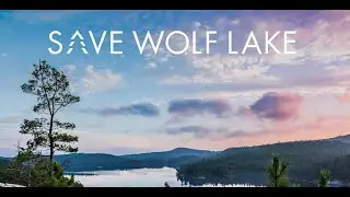 Save Wolf Lake Film