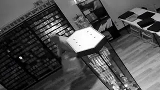Four Houston-area collectible stores broken into