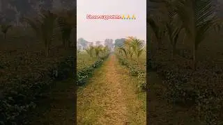 mini vlogs ||mini blog|| chhota vlog||#india #nature #mountains #adventure #travel #nature #garden