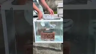 Water Adhesion Test! Can Glue Stick Brick + Sneaker Underwater?