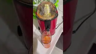 Sinbo katı meyve sıkacağı
