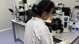UV Cleanser Zoom Laboratory Examination 2020  portable bacteria killing robot