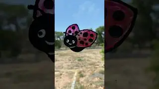 Making a Ladybug Window Cling