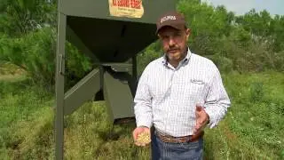 Mixing Corn and Protein To Start A Feeding Program