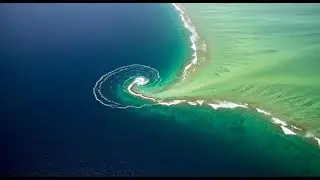 MarineMosaic The Ocean&rsquo;s Carbon Sink Explained | How Oceans Regulate Earth&rsquo;s Climate
