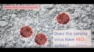 Why has coronavirus red spikes, the color of danger?