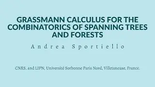 Andrea Sportiello - Grassmann Calculus for the combinatorics of Spanning Trees and Forests