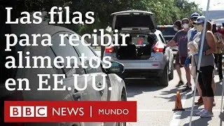 Coronavirus en EE.UU.: las colas ante los bancos de alimentos en el país más rico del mundo