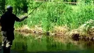 fishing with half a grain of rice - tanago (micro) fishing