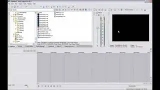 Training - Vegas Pro - Screen Walk