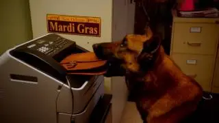 ANGIE TRIBECA (T3) - Season 3 Trailer PROMO  TBS Full HD