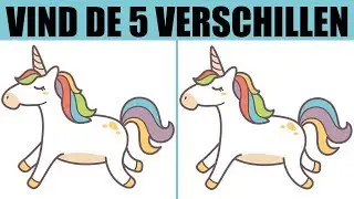 VIND DE 5 VERSCHILLEN! Heb jij EXTREEM goede ogen?