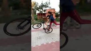 peg wheelie ❤️ this action is risky , ❌