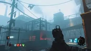 Weevil packed Bo3 zombies