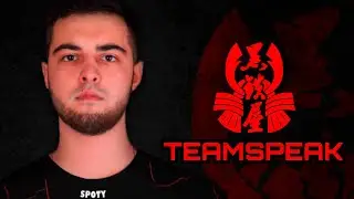 TEAMSPEAK Bushido Esports #1 #teamspeak #пабжи_мабжи